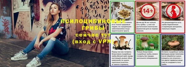 ПСИЛОЦИБИНОВЫЕ ГРИБЫ Карпинск