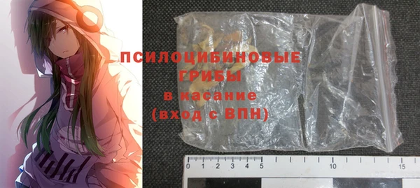 ПСИЛОЦИБИНОВЫЕ ГРИБЫ Карпинск