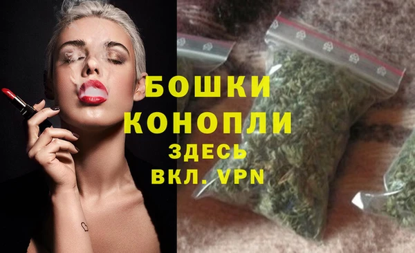 крисы Карталы