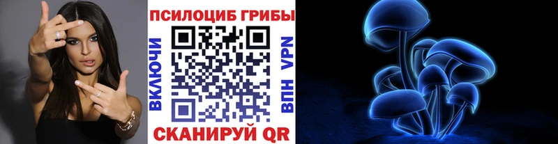 Псилоцибиновые грибы прущие грибы  omg как войти  Жуков 